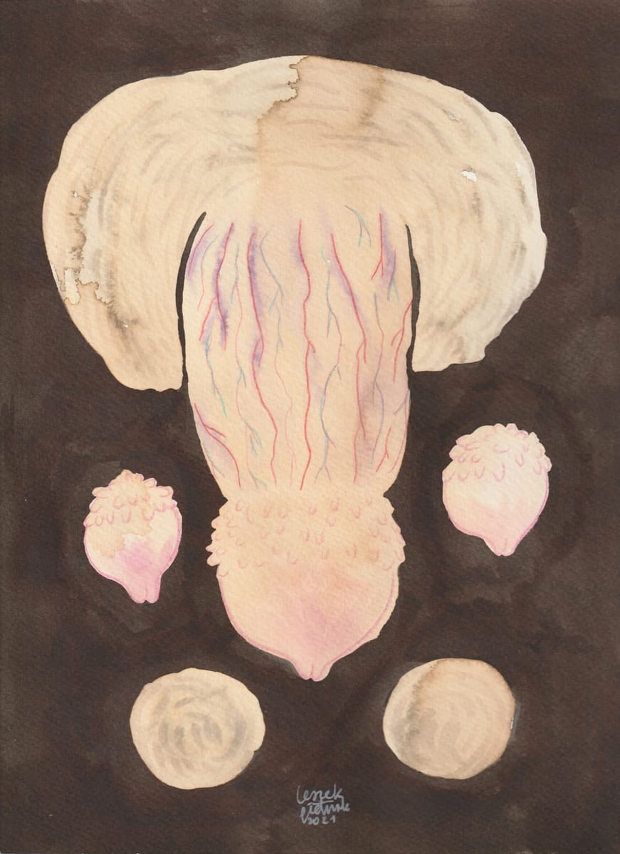 penis-with-pearly-penile-papules-2-2021-nsfw